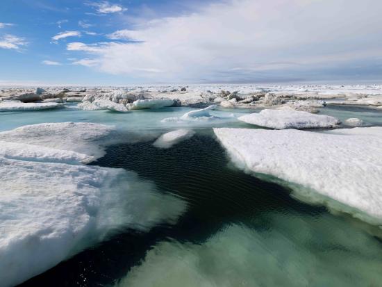 Sea Ice in the Chukchi Sea