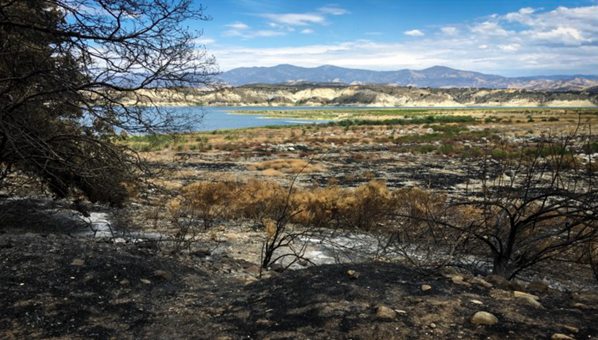 Land and trees scorched by the 2018 Carr Fire. Whiskeytown Reservoir can be seen in the distance. Photo courtesy of Reclamation’s California-Great Basin Regional Office.