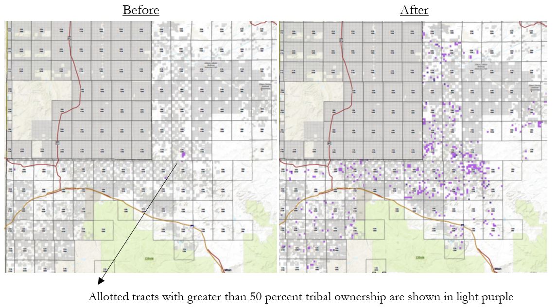 navajo_reduction_0.jpg