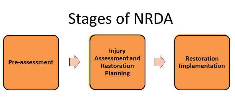 Stages-of-NRDA-4.jpg