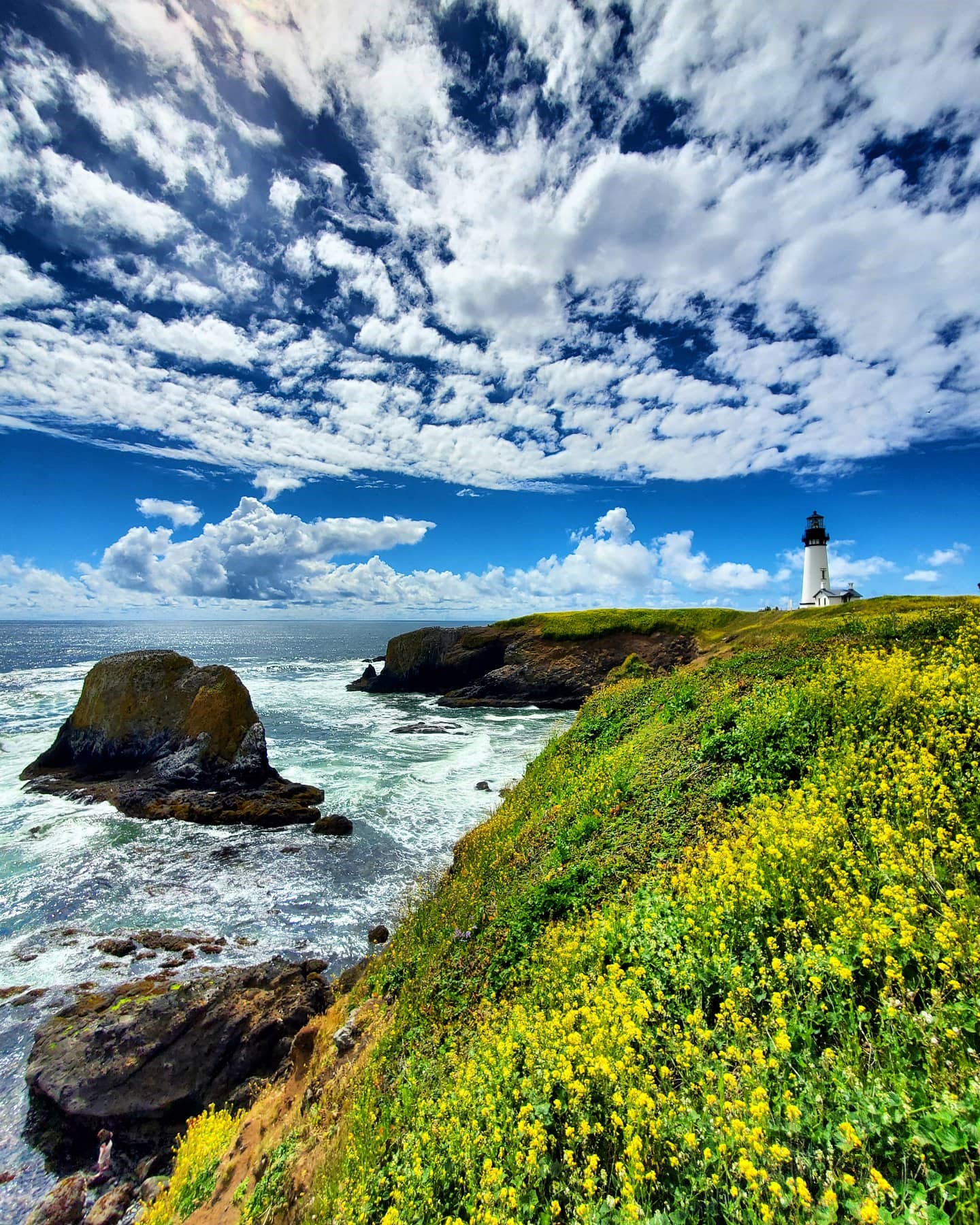 yaquina-head-outstanding-natural-area-in-oregon-photo-by-alyssa-uhen.jpg
