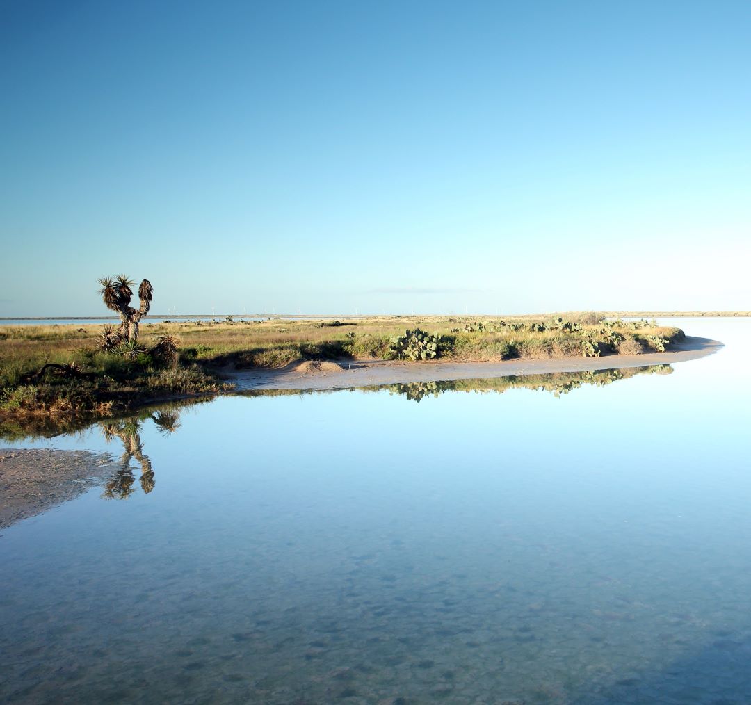 Shoreline within the Laguna Atascosa NWR