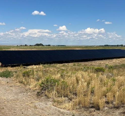Two lines of black solar panels sit in grassy field with bright blue sky in background.