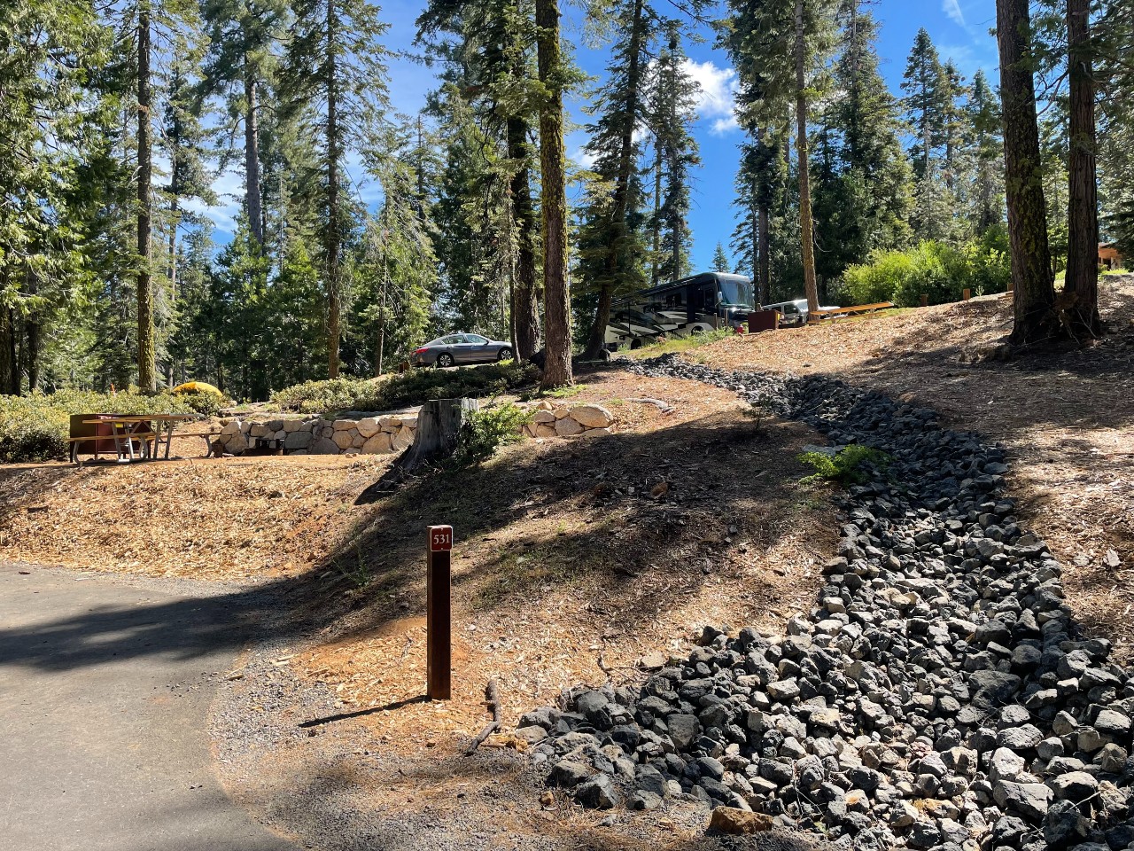 Gray gravel trail leads through camp site surrounded by tall, green trees.