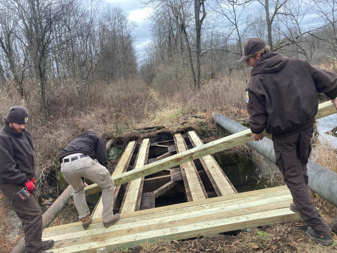 Three maintenance workers place tan, wooden boards across gap in the forest floor.