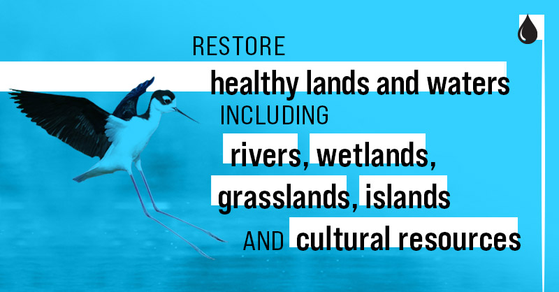 Graphic with image of bird landing on water that reads: Restore healthy lands and waters including rivers, wetlands, grasslands, islands and cultural resources