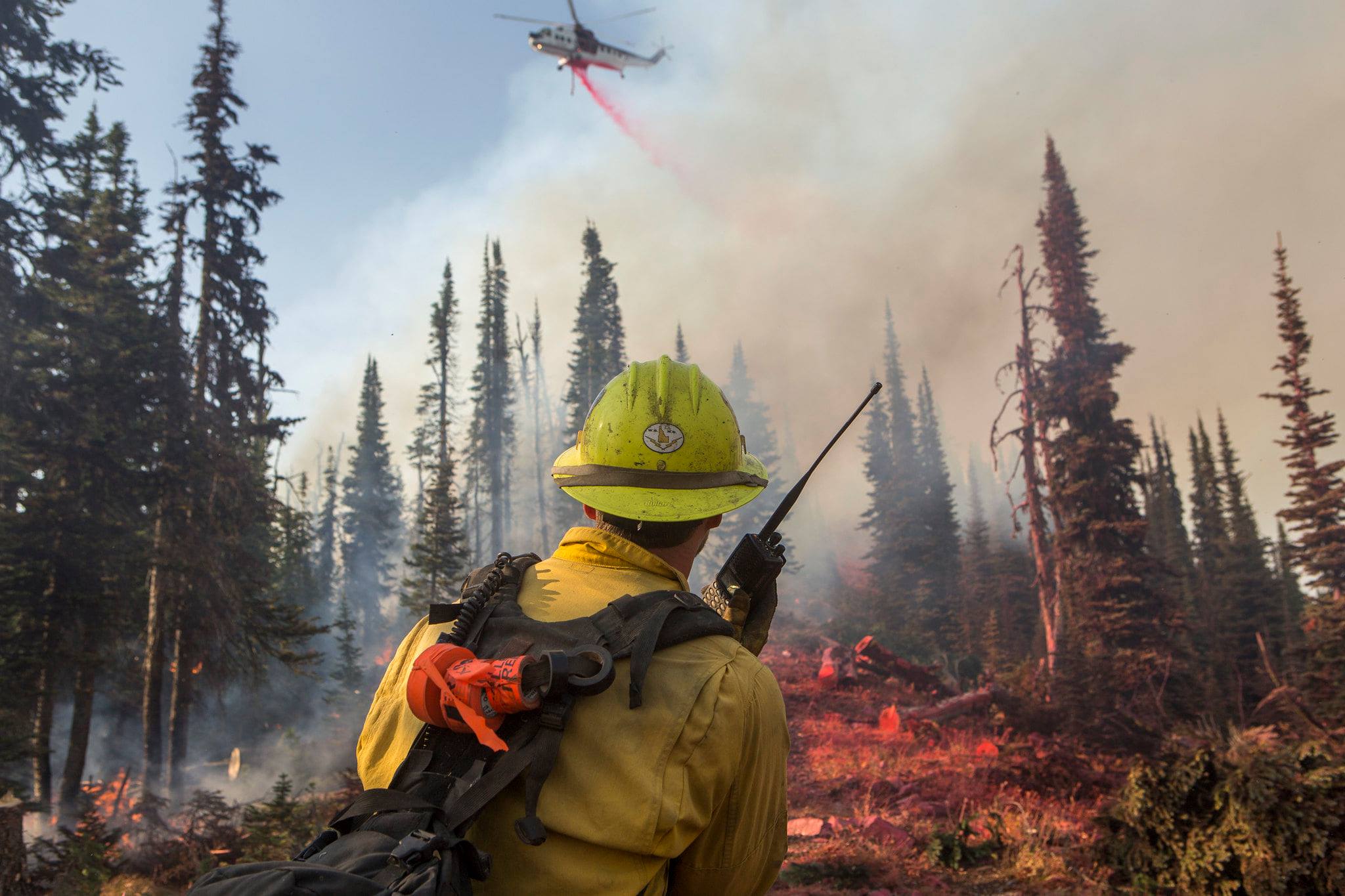 10 Tips to Prevent Wildfires  U.S. Department of the Interior