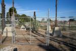 Chain-link fence surrounding oil equipment. 