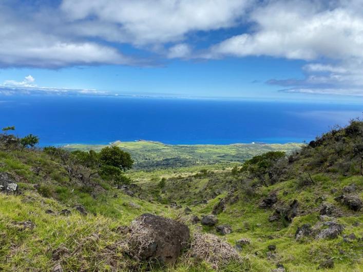 A bright blue ocean view from atop green, mountainous terrain.