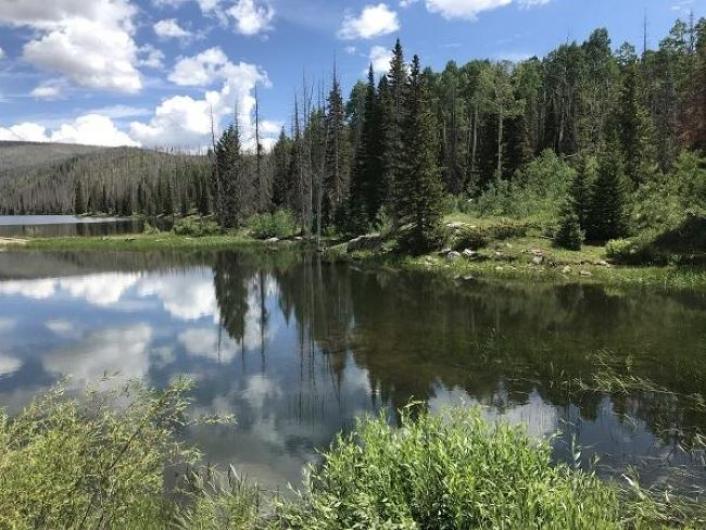 Reservoir in a wooded area