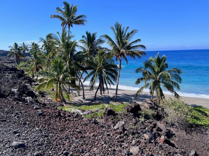 A tropical-looking blue-water beach in Hawaii with a rocky shoreline dotted with palm trees