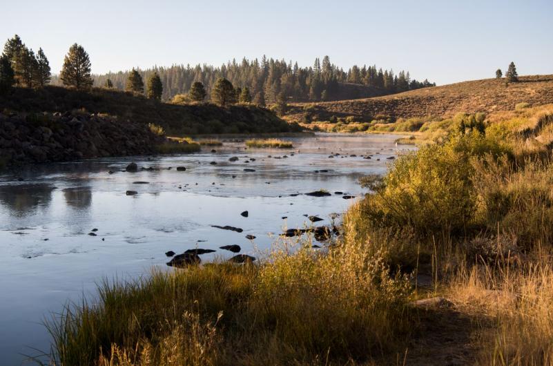 Clear creek runs through grassy valley at sunrise.