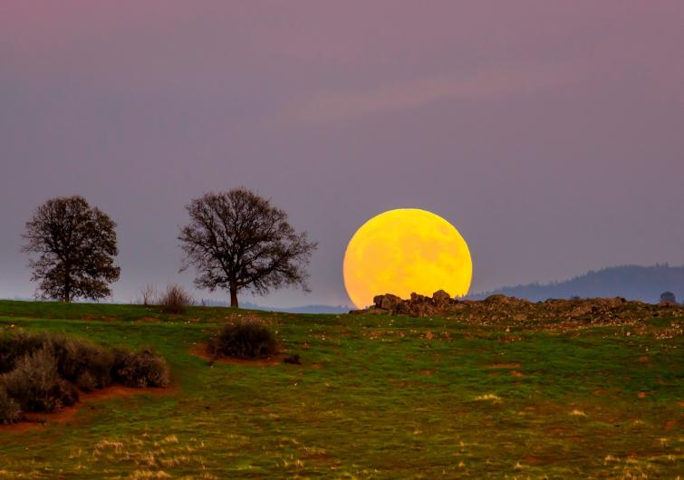 Bright yellow moon rises at Cronan Ranch.