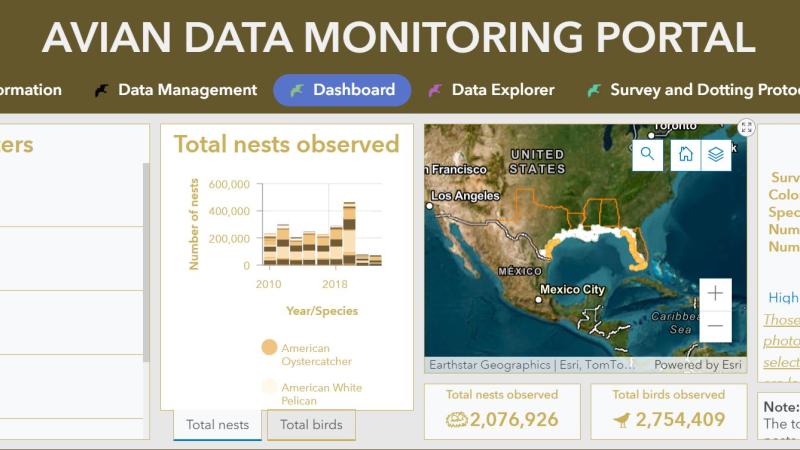 Dashboard page of Avian Monitoring Porta