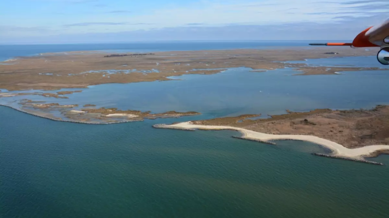 An aerial view of a shoreline, made up of green water and brown land. 