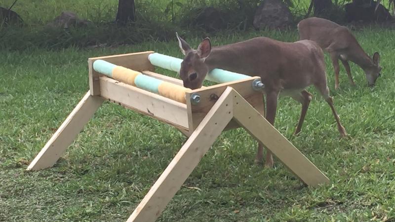 A deer eats from a wooden trough. 