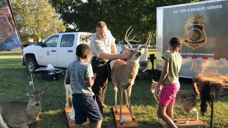 Fish and online wildlife