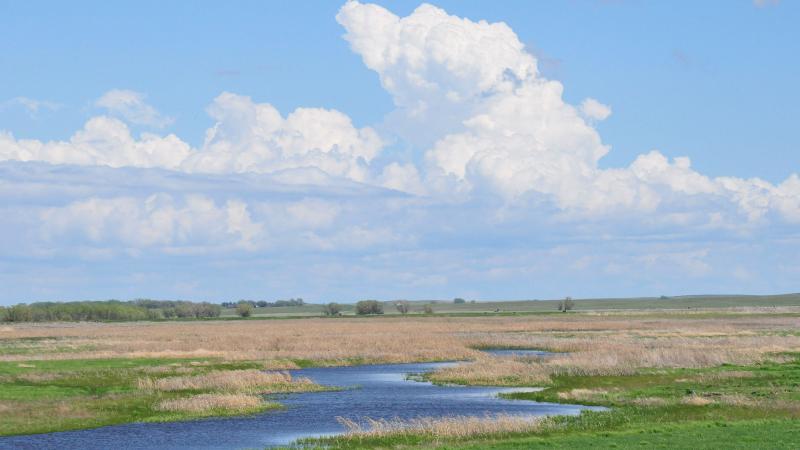 Fluffy white clouds above a body of water and green grass