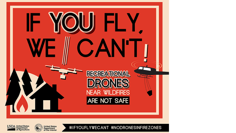 If You Fly, We Can't Poster