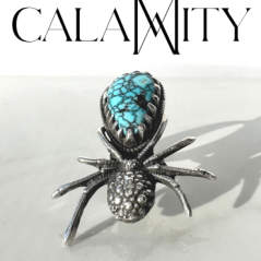 Photograph of a turquoise ring featuring a silver spider.