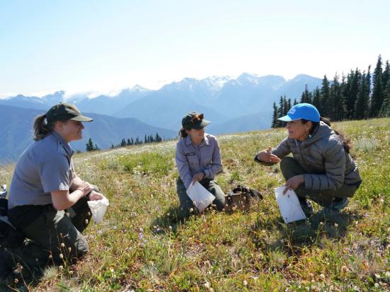 Secretary Haaland participated in a seed gathering project with two National Park Service representatives.