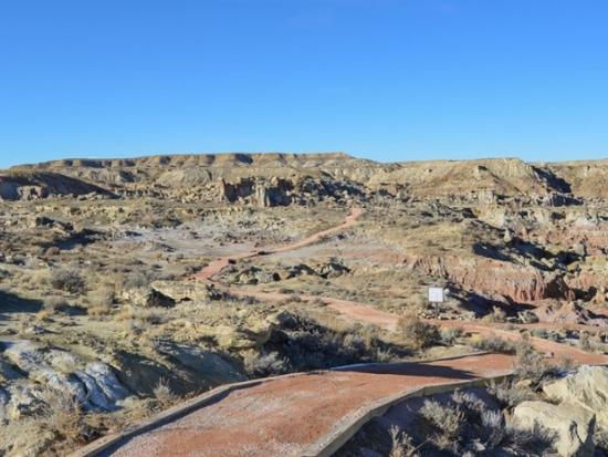 Accessible trail through desert landscape. 