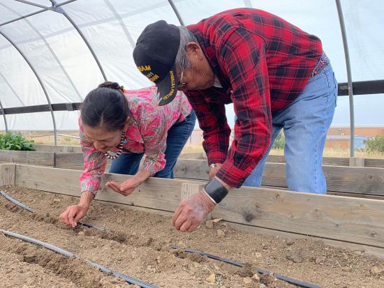 Secretary Haaland planting seeds in greenhouse.