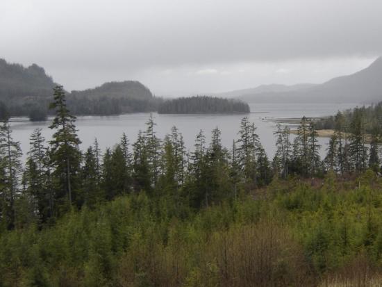 view along Eagle Creek on Prince of Wales Island