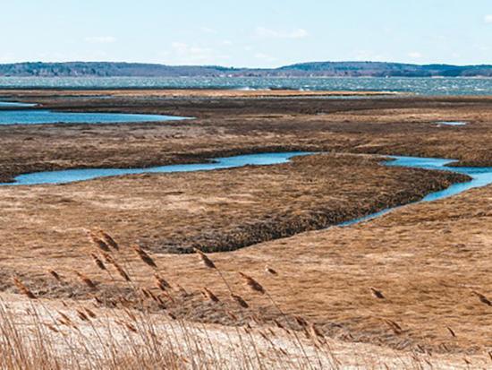 Image of a landscape of dry vegetation and a winding river