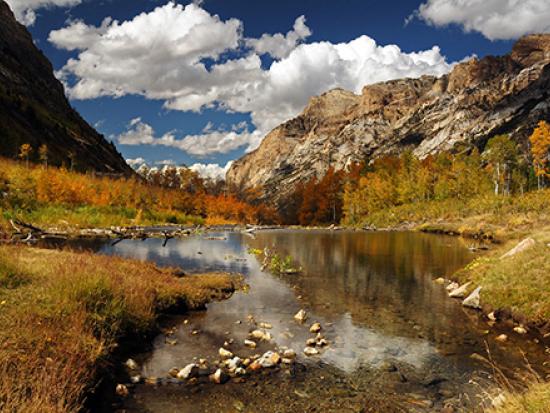 Mountain landscape with fall foliage and cloudy blue sky.  