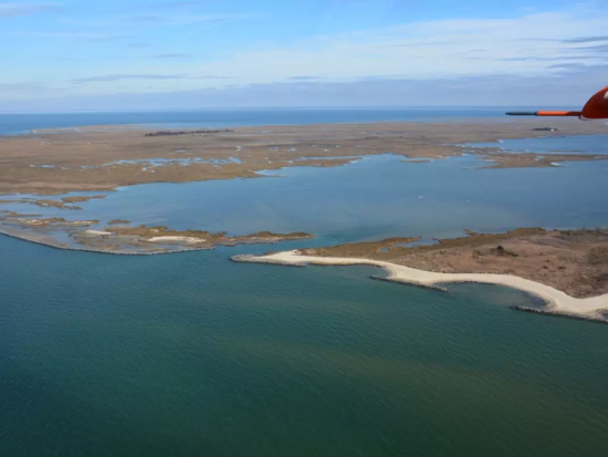 An aerial view of a shoreline, made up of green water and brown land. 