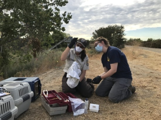 Two women prepare to give a vaccine to a rabbit in a wooded area.