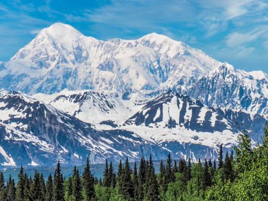 A snow covered mountain rises about a green forest against a cloudy blue sky