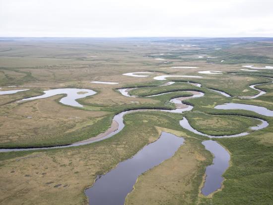 Streams running through the National Petroleum Reserve in Alaska