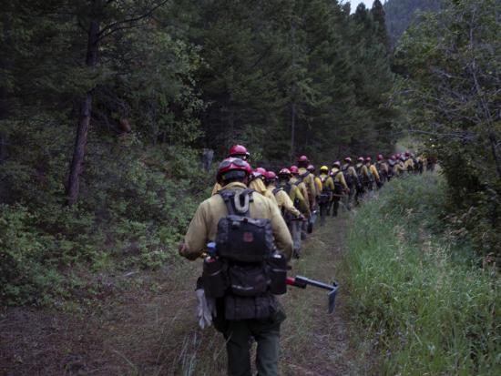 Large group of firefighters in red helmets and yellow shirts hiking into a canyon trail. 