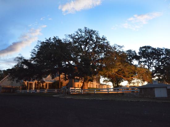 Texas White House at sunset surrounded by huge oak trees.