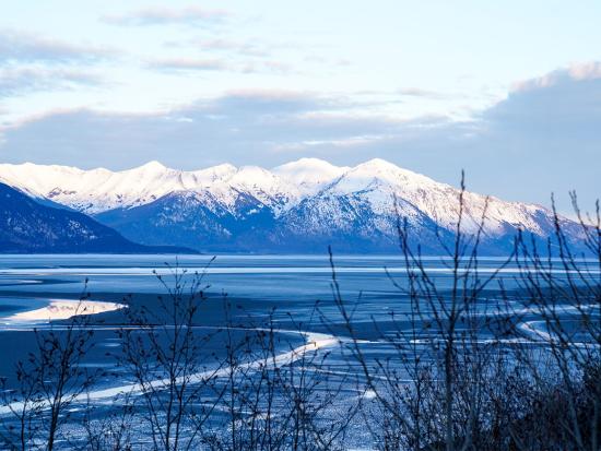Kenai Fjords with snow-covered mountains in the background underneath a blue sky