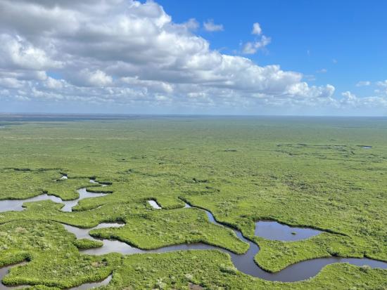 A view of the Everglades from the sky