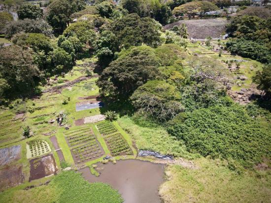 Aerial view of Hawaiian landscape