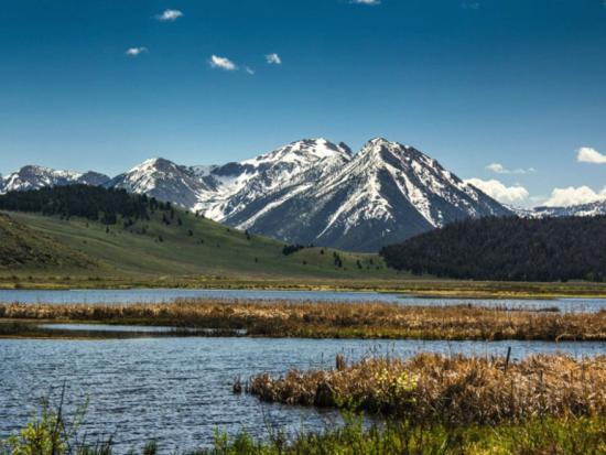 Red Rock Lakes National Wildlife Refuge with mountains, a creek and wildflower filled meadows.