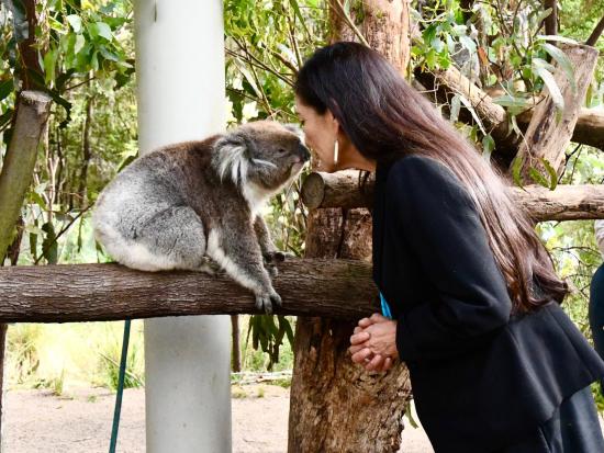 Secretary Haaland and a koala touch nose-to-nose in Australia