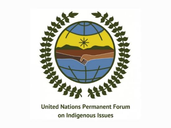 United Nations Permanent Forum on Indigenous Issues logo 
