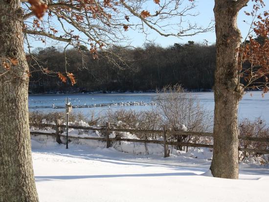 A snow-covered lakeshore with visible trees and a short wooden fence