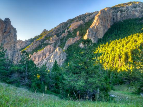 Tree-covered hills at Meetse Area of Critical Environmental Concern.