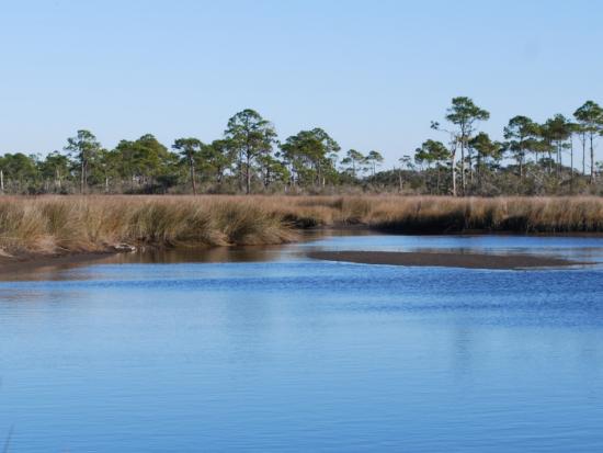 View of Bon Secour National Wildlife Refuge at Navy Cove Marsh