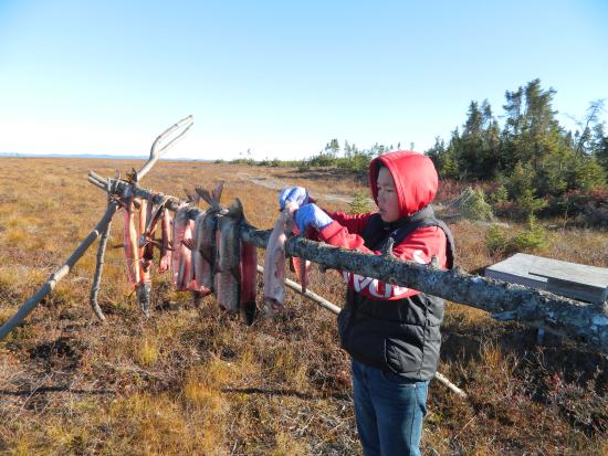 Drying fish at the Selawik culture camp (USFWS photo).