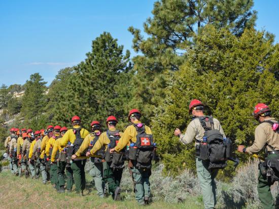 Wildland firefighters hike in a line wearing their gear. 