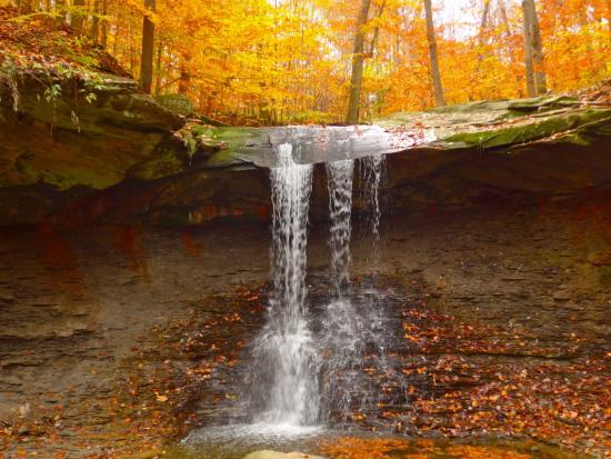 A small waterfall flows over a rock ledge in a forest showing bright fall colors.
