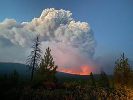 A plume of smoke rises into the sky from the glowing flames on a forested ridge.