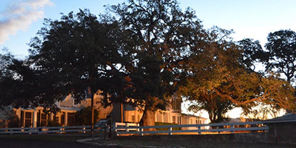 Lyndon B. Johnson National Historical Park Prepares For The Texas White ...